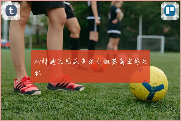 科特迪瓦厄瓜多尔小组赛高空球对抗