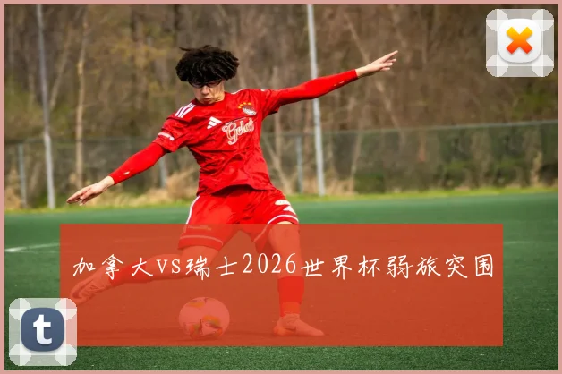 加拿大vs瑞士2026世界杯弱旅突围