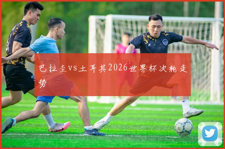 巴拉圭vs土耳其2026世界杯次轮走势
