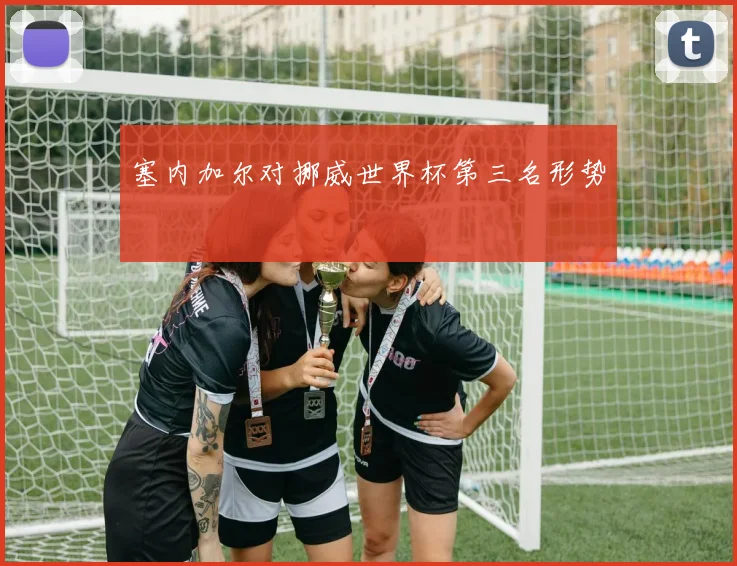 塞内加尔对挪威世界杯第三名形势